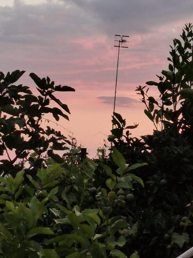 Dimora Di Donna Rita Hotel Anacapri  Esterno foto
