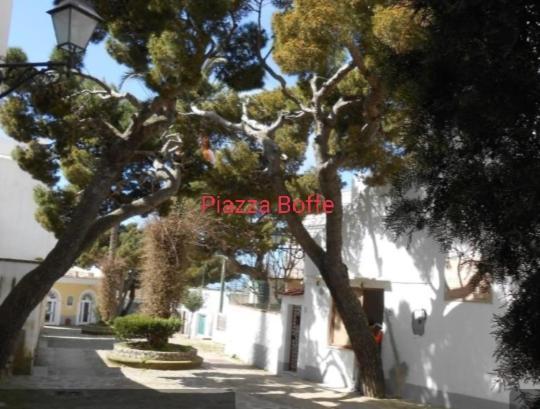 Dimora Di Donna Rita Hotel Anacapri  Esterno foto